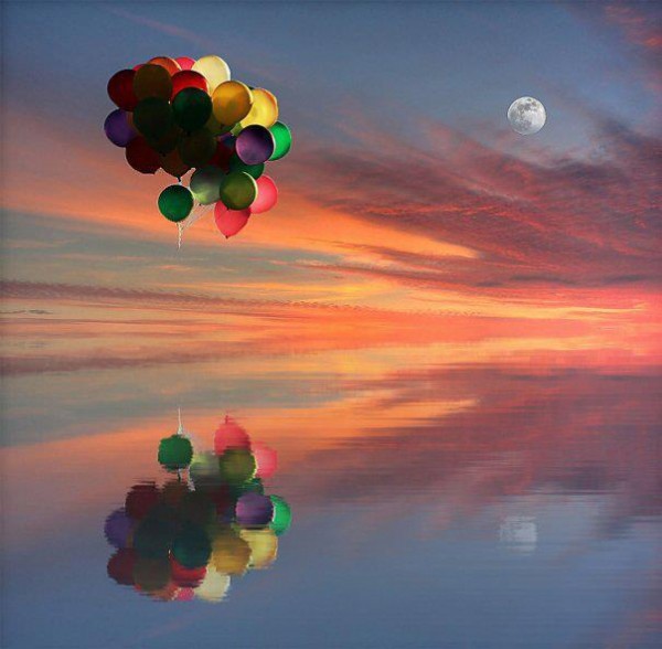 Varl�k bar���nda son durum ve i�letme kay�tlar�n�n d�zeltilmesi