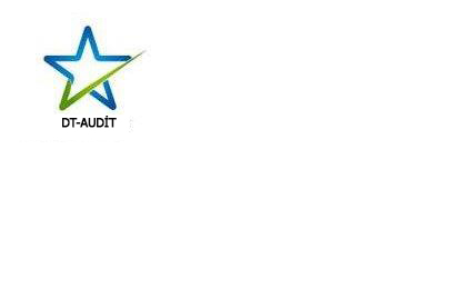 WWW.DT-AUDIT.COM MERHABA