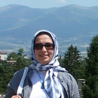 DENET�M(�N) K�T�PHANES� 