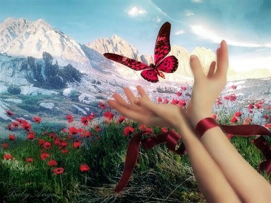 MAL� M��AV�R�N HAKSIZ REKABETLE M�CADELES� !!!